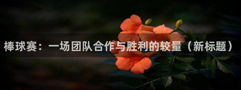  棒球赛：一场团队合作与胜利的较量（新标题）