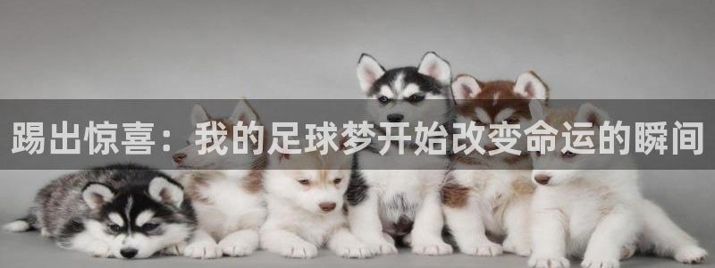 踢出惊喜：我的足球梦开始改变命运的瞬间