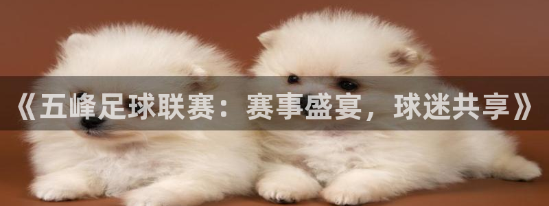 《五峰足球联赛：赛事盛宴，球迷共享》