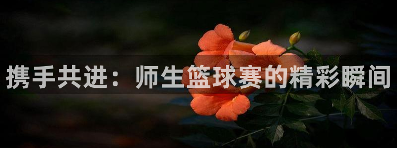  xk星空体育：携手共进：师生篮球赛的精彩瞬间