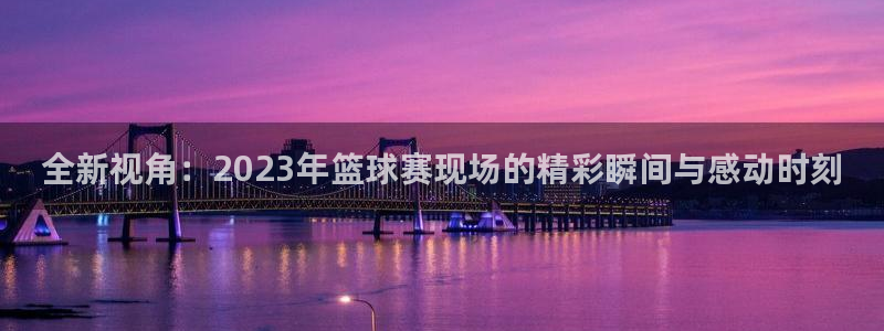  星空综合体育中国：全新视角：2023年篮球赛现场的精彩瞬间与