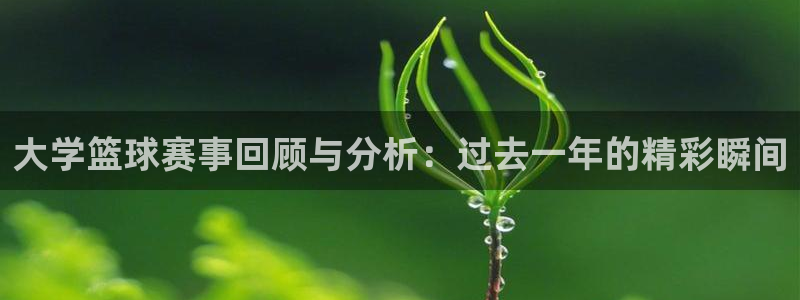 www.星空体育：大学篮球赛事回顾与分析：过去一年的精彩瞬间