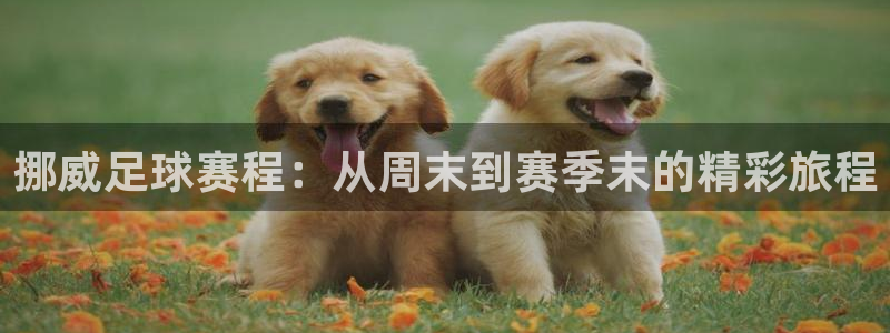 星空体育xk：挪威足球赛程：从周末到赛季末的精彩旅程