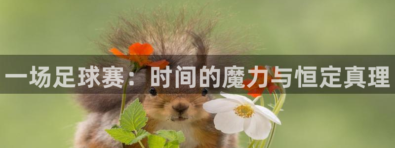 星球体育馆：一场足球赛：时间的魔力与恒定真理