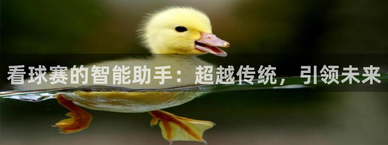  天空体育历史最佳球员：看球赛的智能助手：超越传统，引领未来