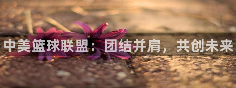 星空体育网站：中美篮球联盟：团结并肩，共创未来