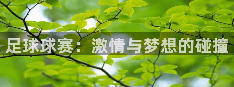  天空体育历史最佳球员：足球球赛：激情与梦想的碰撞