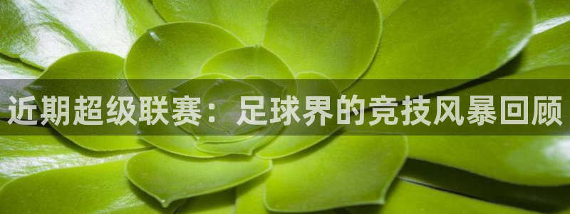  星空体育在线：近期超级联赛：足球界的竞技风暴回顾